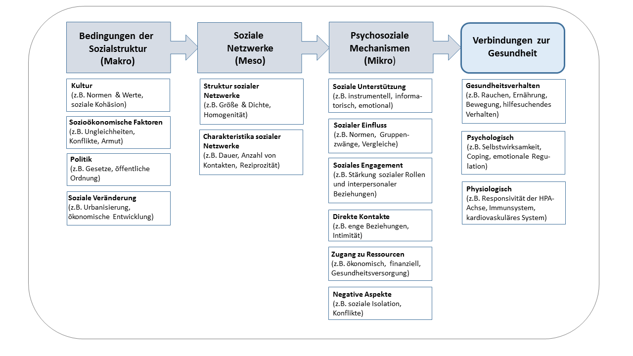 Abb. 1: Das Pfad-Modell zum Zusammenhang zwischen sozialen Beziehungen und Gesundheit, eigene Darstellung (nach Berkman & Krishna 2014)