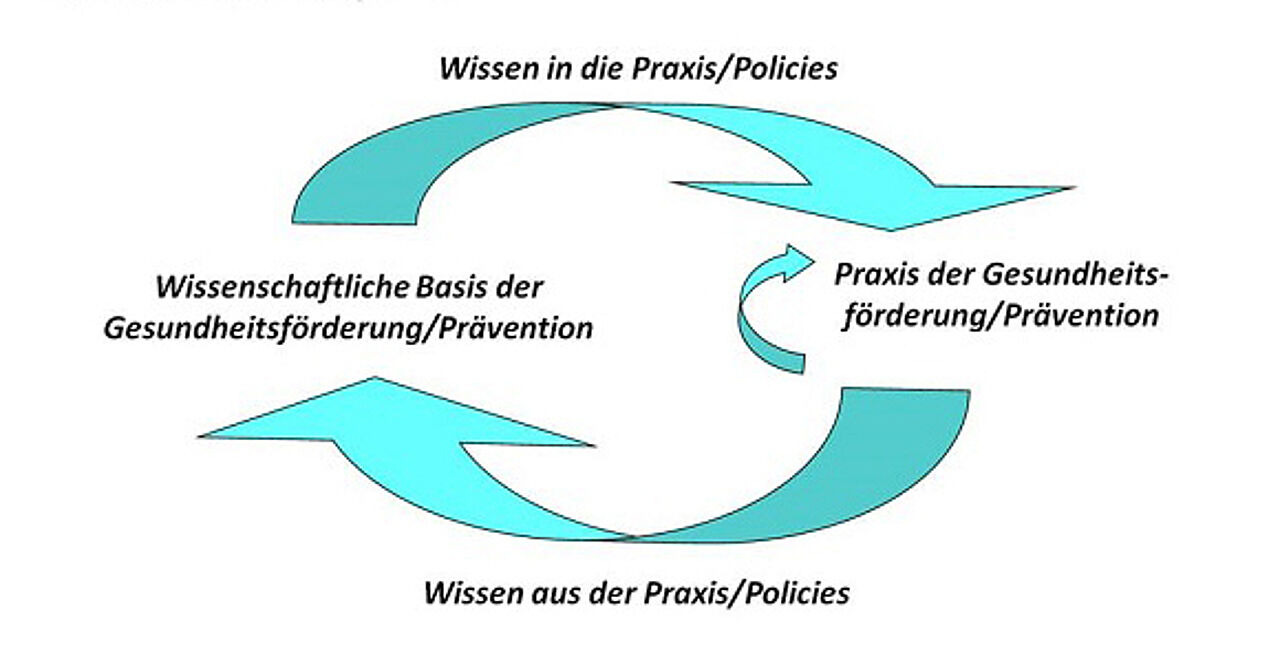 Abb. 2. Wissenszyklus (Broesskamp-Stone et al. 2010, S. 16)