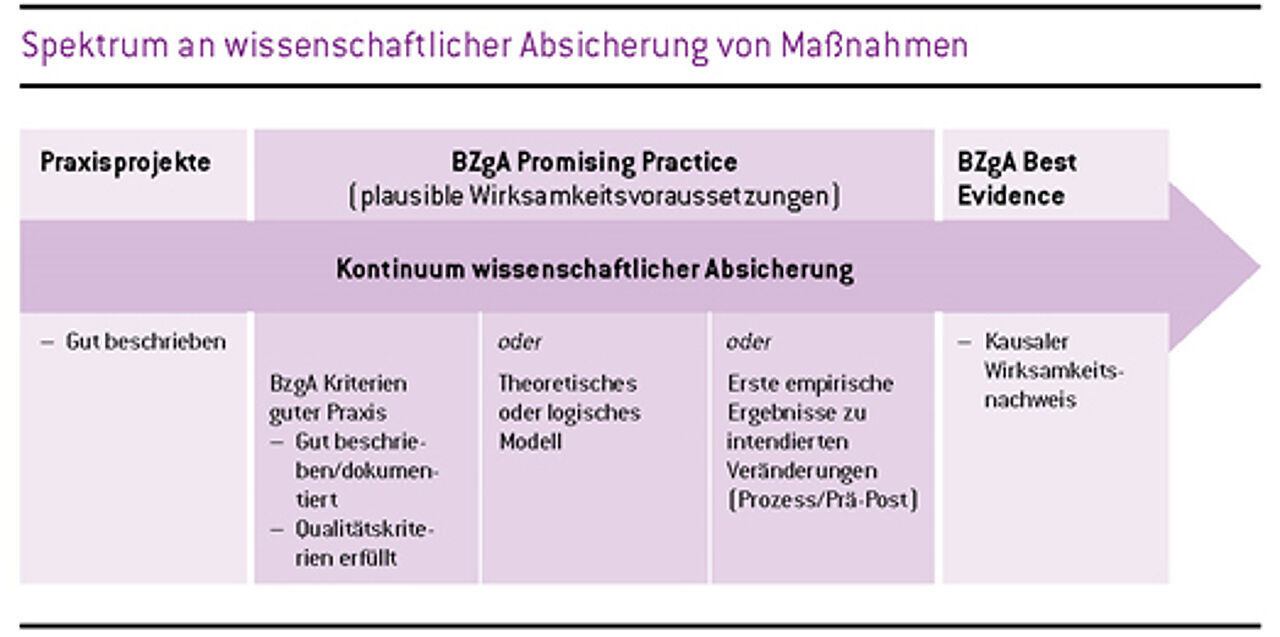 Abb. 1: BZgA-Kategorien wissenschaftsbasierter Qualitätssicherung in der Prävention (aus De Bock, Dietrich & Rehfuess 2021, S. 23)
